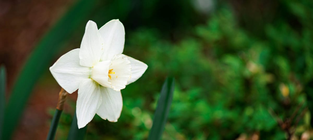 Clear view of who you are