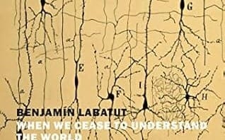 The Terrifying Cost of Genius: A Review of When We Cease to Understand the World